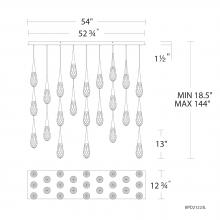  BPD21223L-AB - Hibiscus 23 Light 120-277V Multi-Light Pendant (Linear Canopy) in Aged Brass with Clear Optic Crys