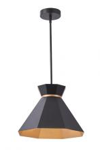  P1416-BKG - Pendant Aged Brass/Black