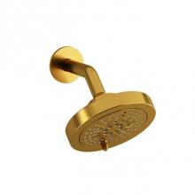  366BG-WS - 6'' 6-Function Showerhead With Arm