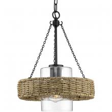  P550126-31M - P550126-31M 1-L OUTDOOR PENDANT