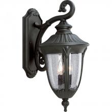 Progress P5822-31 - Meridian Collection Two-Light Medium Wall Lantern